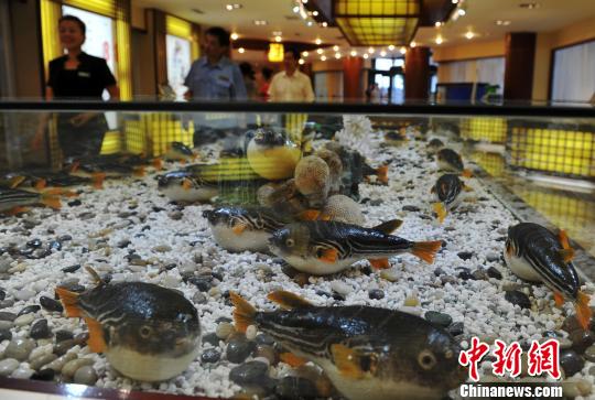 �����������̲�պ�ҵ�ߺ���&ldquo;���&rdquo;�����г���ͼ��